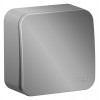 Выключатель 1-кл. ОП Blanca 10А IP20 (сх. 1) с самовозвратом с изолир. пластиной алюм. SE BLNCA101013