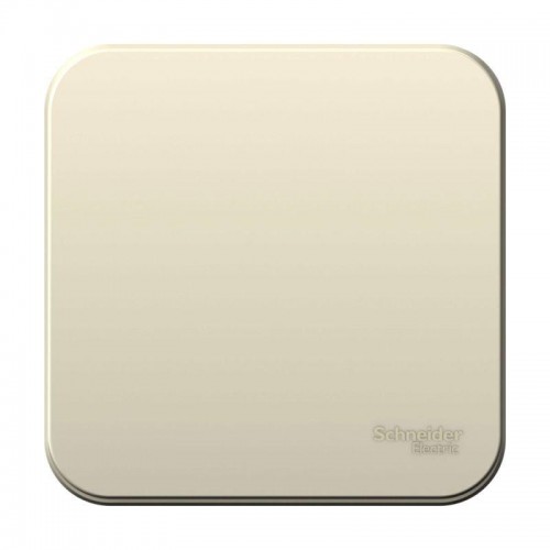 Выключатель 1-кл. ОП Blanca 6А IP20 (сх. 1) 250В с изолир. пластиной молочн. SE BLNVA061012