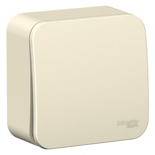 Переключатель проходной 1-кл. ОП Blanca 10А IP20 (сх. 6) 250В с изолир. пластиной молочн. SE BLNVA106012