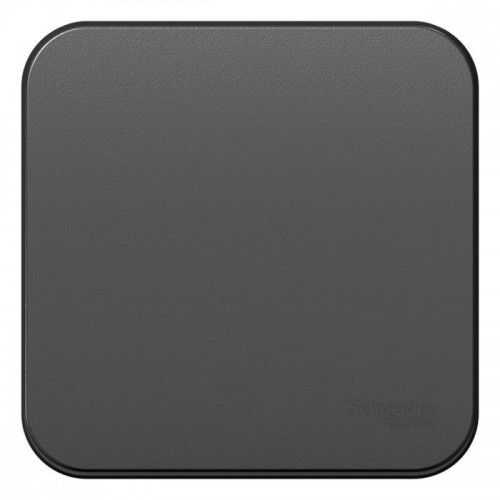 Переключатель проходной 1-кл. ОП Blanca 10А IP20 (сх. 6) 250В с изолир. пластиной антрацит SE BLNVA106016