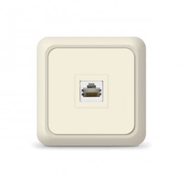 Розетка компьютерная 2-м Олимп сл. кость UNIVersal 1074