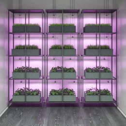 Светильник светодиодный Fito 12Вт IP20 350лм 175-265В 865х25х37мм ДВО для растений бел. GAUSS 130411912