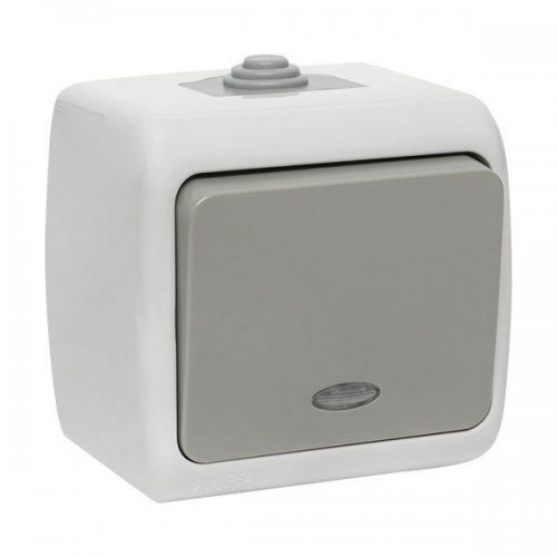 Выключатель 1-кл. ОП Мурманск 10А IP54 с индикатором сер. EKF EFV10-121-30-54