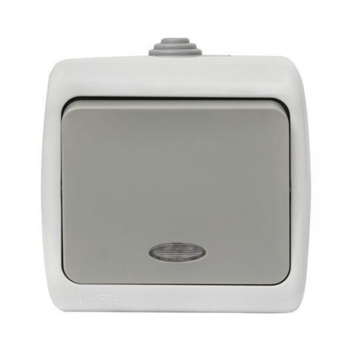 Выключатель 1-кл. ОП Мурманск 10А IP54 с индикатором сер. EKF EFV10-121-30-54