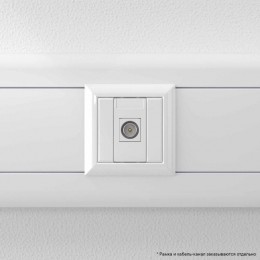 Розетка телевизионная одиночная TV 1мод. Avanti 