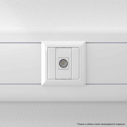 Розетка телевизионная одиночная TV 1мод. Avanti 