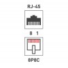 Розетка сетевая LAN на стену 2 гнездо 8Р8С (RJ-45) 5кат. Rexant 06-0105-C