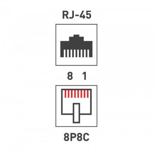 Розетка сетевая LAN на стену 2 гнездо 8Р8С (RJ-45) 5кат. Rexant 06-0105-C