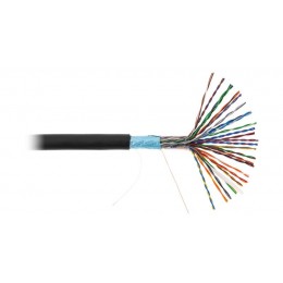 Кабель F/UTP кат.5 (класс D) 25 пар 100МГц ОЖ BC чистая медь внешн. PE до -40град.C черн. (уп.305м) NETLAN EC-UF025-5-PE-BK-3