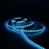 Лента светодиодная Elementary 5050/60-SMD 14.4Вт/м 6500К холод. бел. IP66 430лм/м 12В 10мм (уп.5м) GAUSS 356000314