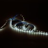 Лента светодиодная Elementary 2835/60-SMD 4.8Вт/м 3000К тепл. бел. IP20 170лм/м 12В 8мм (уп.5м) GAUSS 355000105