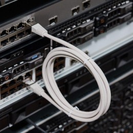 Патч-корд F/UTP кат.5e RJ45-RJ45 LSZH экранир. 1.5м сер. Rexant 18-8004-1