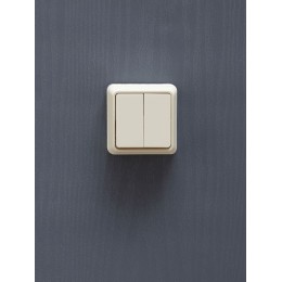 Выключатель 2-кл. ОП Октава 10А IP20 ВС20-2-0-ОКм крем. GENERICA EVO20-K33-10-DC