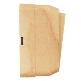 Выключатель 2-кл. ОП Октава 10А IP20 ВС20-2-0-ОС сосна GENERICA EVO20-K03-10-DC