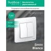 Выключатель 2-кл. СП Blanca 10А IP20 (сх. 5) 250В бел. SE BLNVS010501