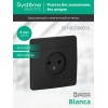 Розетка 1-м СП Blanca 16А IP20 250В без заземл. без защ. шторок антрацит SE BLNRS000016