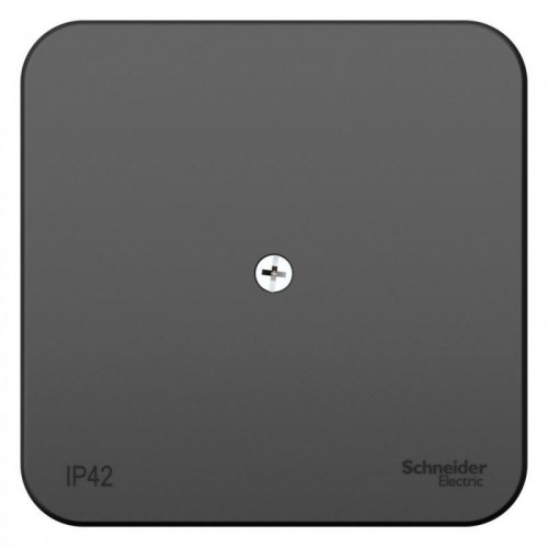 Коробка распределительная ОП Blanca IP42 антрацит SE BLNRK000016