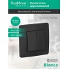 Выключатель 2-кл. СП Blanca 10А IP20 (сх. 5) 250В антрацит SE BLNVS010506