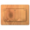 Розетка 2-м СП Blanca 16А IP44 250В с заземл. защ. шторки с крышкой ясень SE BLNRS441125