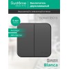 Выключатель 2-кл. ОП Blanca 10А IP20 (сх. 5) 250В с изолир. пластиной антрацит SE BLNVA105016