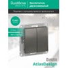 Выключатель 2-кл. СП AtlasDesign 10А IP20 (сх. 5) 10AX механизм сталь SE ATN000951