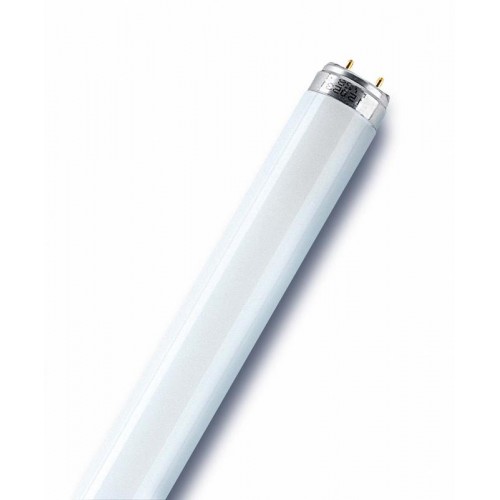 Лампа люминесцентная L 36W/865 LUMILUX 36Вт T8 6500К G13 смол. OSRAM 4008321581433