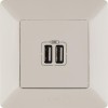 Розетка USB 2-м Valena Life 240В/5В 1500мА с лицев. панелью механизм сл. кость Leg 753512