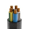 Кабель ВВГнг(А)-LS 5х50 МК (N PE) 0.66кВ (м) Кабэкс ТХМ00209002