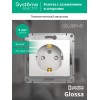 Розетка 1-м СП Glossa 16А IP20 с заземл. защ. шторки механизм бел. SE GSL000145