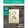 Розетка 2-м СП Glossa 16А IP20 без заземл. беж. SE GSL000220