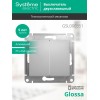 Выключатель 2-кл. СП Glossa 10А IP20 (сх. 5) 10AX механизм алюм. SE GSL000351