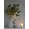 Ветвь эвкалипта имитация 62см 32LED тепл. бел. IP44 6ч таймер кабель корич. 50см КОСМОС KOC_INT-B131