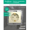 Розетка 1-м СП Glossa 16А IP20 с заземл. защ. шторки механизм беж. SE GSL000245