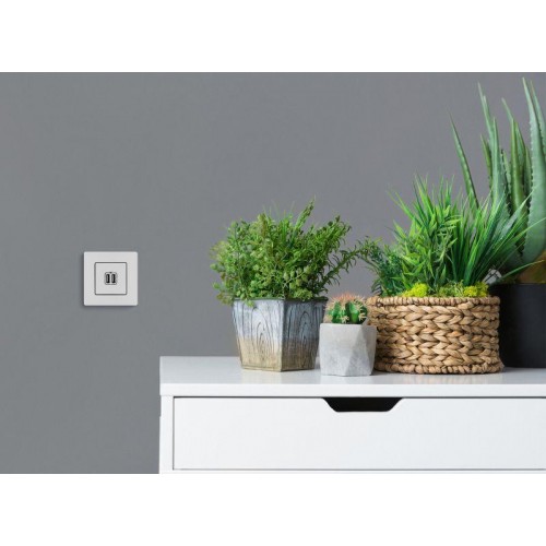 Розетка USB 2-м СП 2мод. Etika 240В/5В 2400мА механизм бел. Leg 672294