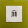 Розетка USB 2-м СП 2мод. Etika 240В/5В 2400мА механизм бел. Leg 672294