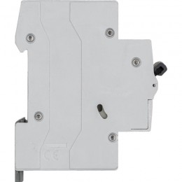 Выключатель автоматический модульный 2п C 40А 4.5кА RX3 ИЭК Leg 419701