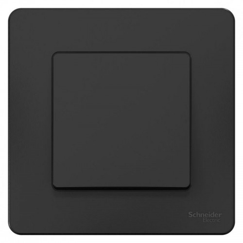 Переключатель проходной 1-кл. СП Blanca 10А IP20 (сх. 6) 250В антрацит SE BLNVS010606
