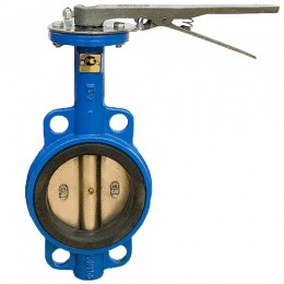 Затвор  поворотный дисковый 50