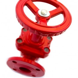 Задвижка 30ч39р (Г) с обрезиненным клином 80