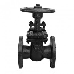 Задвижка 30ч6бр Ci 50