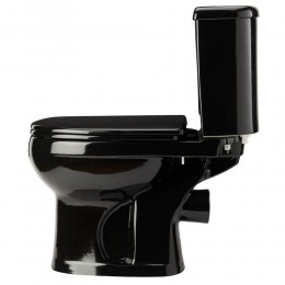 Унитаз-компакт ОК Ирида Стандарт черный (арматура, гофра и сиденье, гориз. выпуск)