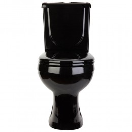 Унитаз-компакт ОК Ирида Стандарт черный (арматура, гофра и сиденье, гориз. выпуск)