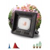 Прожектор светодиодный для растений FITO-50W-LED BLUERED 50Вт IP65 220-240В -30град. до + 45град. 30000ч для цветения и плодоношения красно-синего спектра ЭРА Б0039033