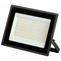 Прожектор светодиодный LPR-023-0-30K-050 50Вт 3000К 4000Лм IP65 уличный Эра Б0052859