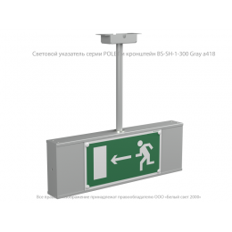 Штанга BS-SH-1-300 Белый свет a418