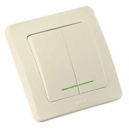 Выключатель 2-кл. СП Мастер 10А IP20 250В с индикацией сл. кость HEGEL ВС10-352-01